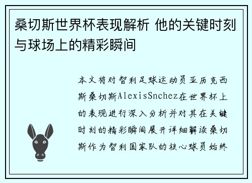 桑切斯世界杯表现解析 他的关键时刻与球场上的精彩瞬间